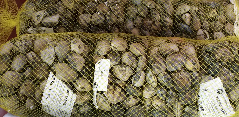 Pescados y Mariscos El Timi