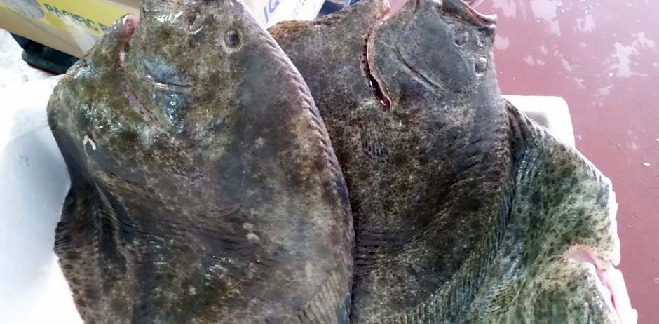 Pescados y Mariscos El Timi